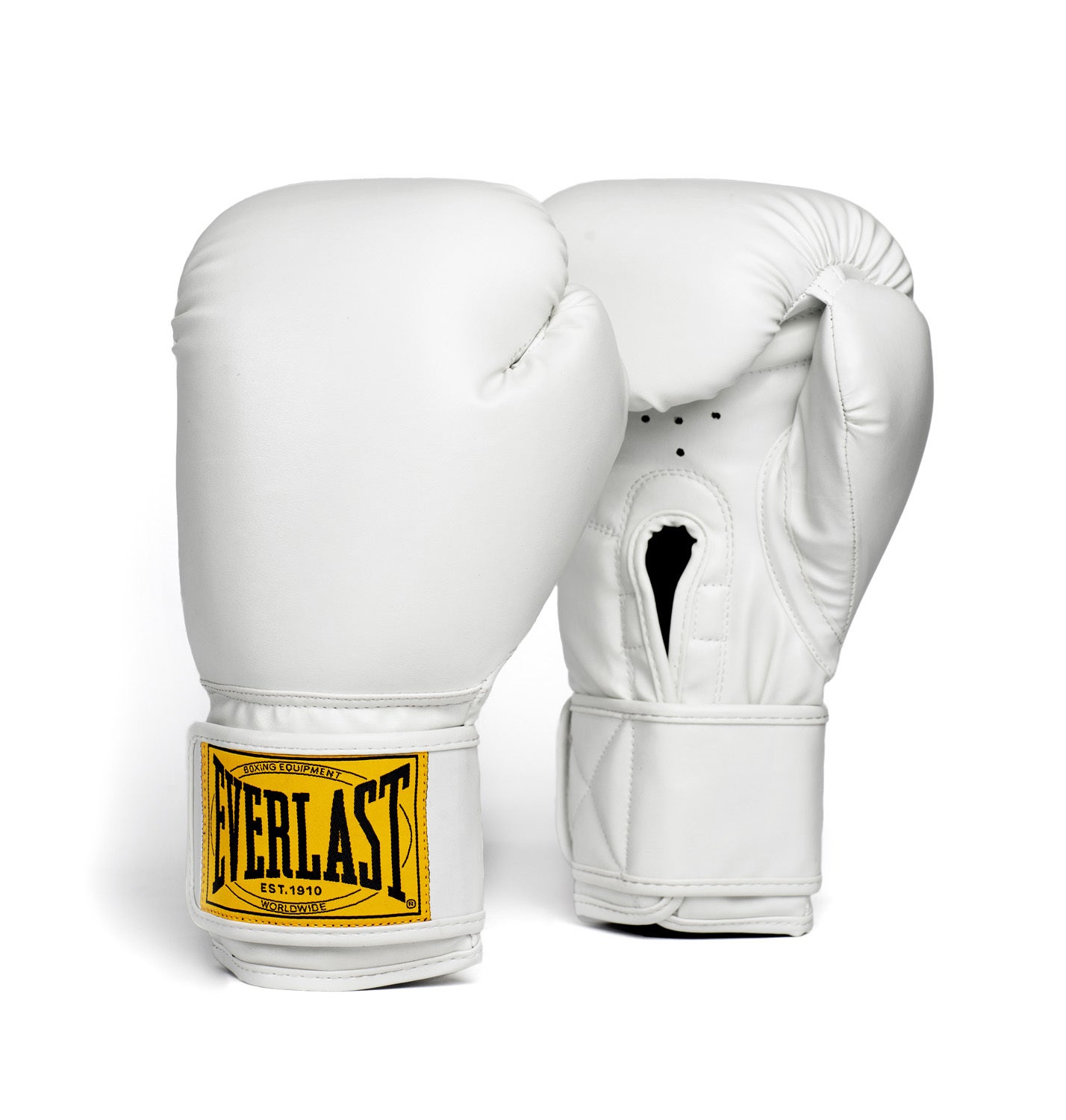 Everlast 1910 store